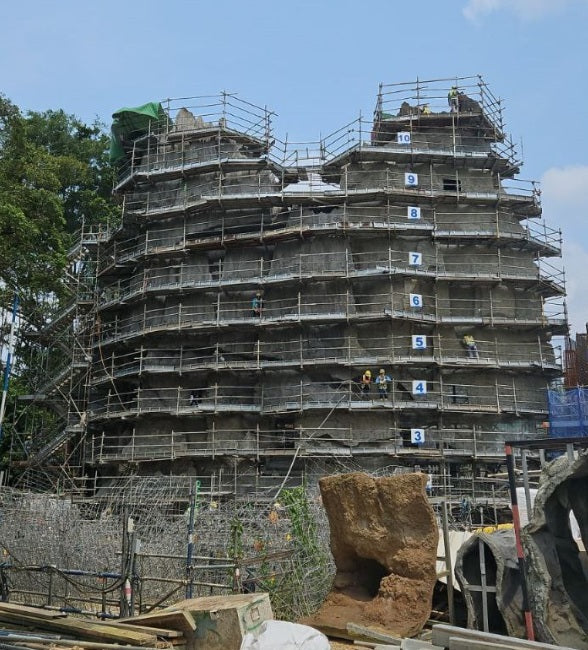 Professional Consultation