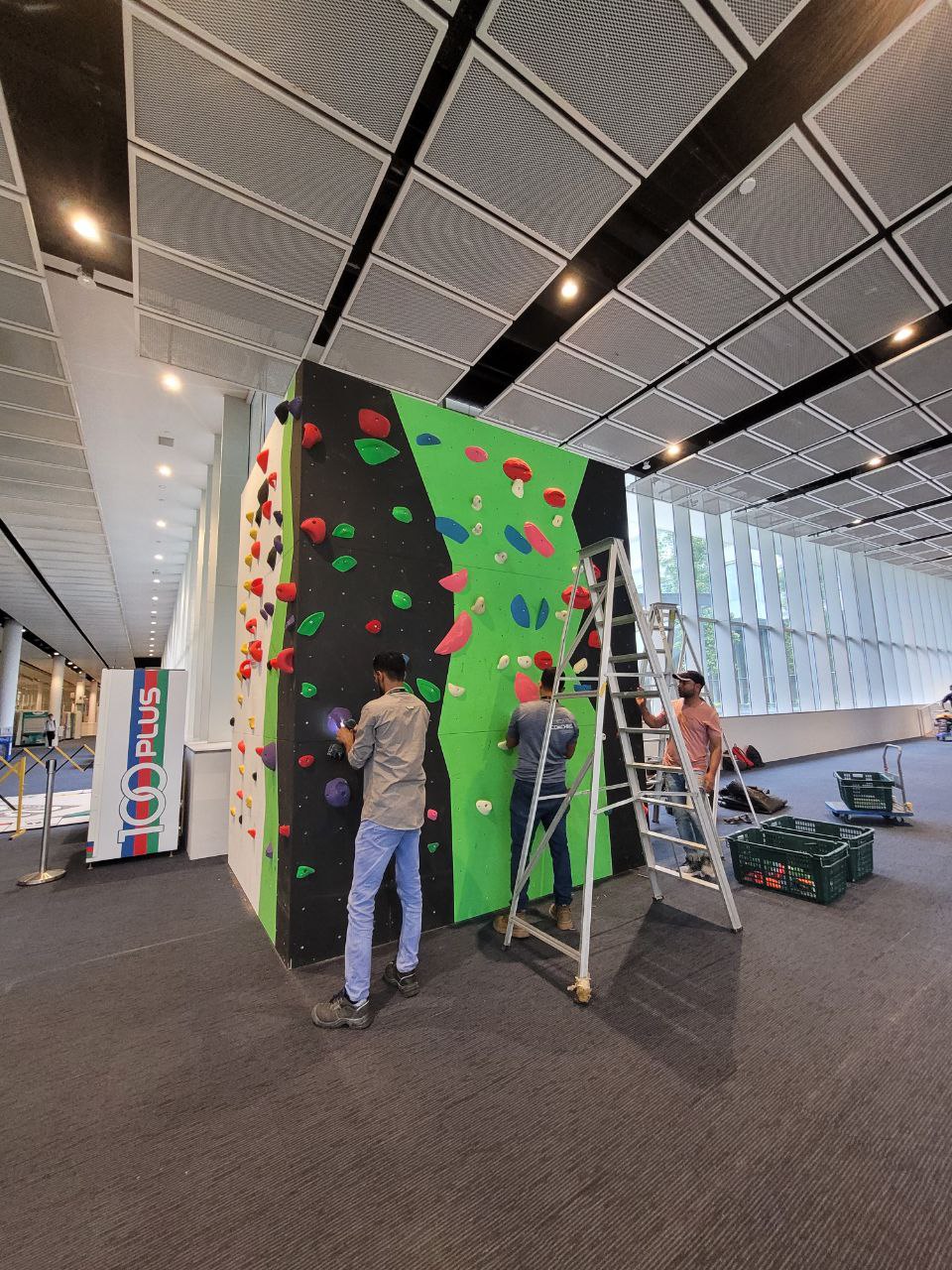 Professional Consultation